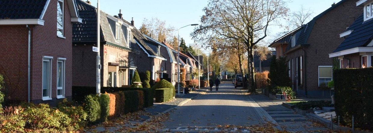 Herfstig straatje in oude woonwijk in Doetinchem
