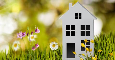 #D afbeelding van een huis in een natuur landschap met gras, bloemen, de zon en een vlinder